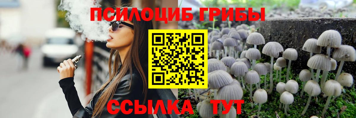 Галлюциногенные грибы MAGIC MUSHROOMS  Псилоцибиновые грибы GOLDEN TEACHER  Свободный  Вход с VPN 
